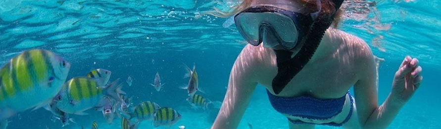 Snorkel En Cabo San Lucas & El Corredor De Los Cabos