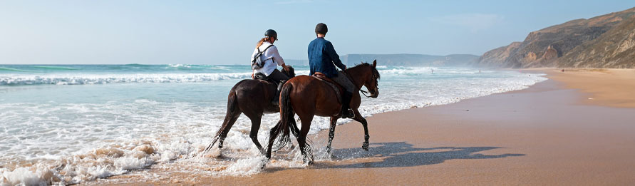 Paseos en Caballo por la Playa en Cabo