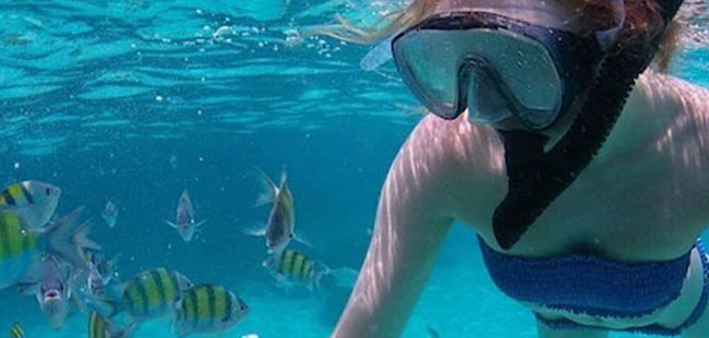 Excursión de Snorkel en Cabo San Lucas & Corredor Los Cabos