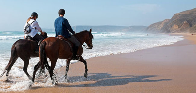 Paseo en Caballo en la Playa de Cabo