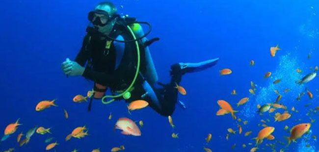 Excursión de Buceo en Cabo San Lucas