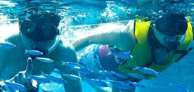 Lovers Beach Snorkeling
