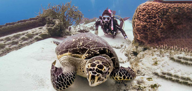 Aprenda a Bucear en Cozumel