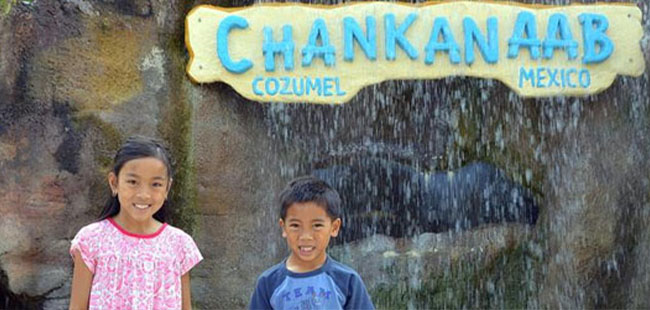 Discover Mexico & Chankanaab Park