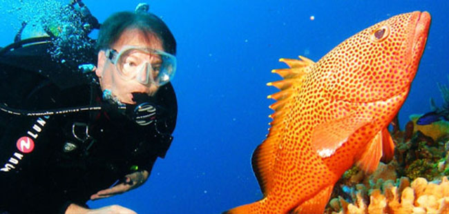 Cozumel Scuba Diving (2-Tank)