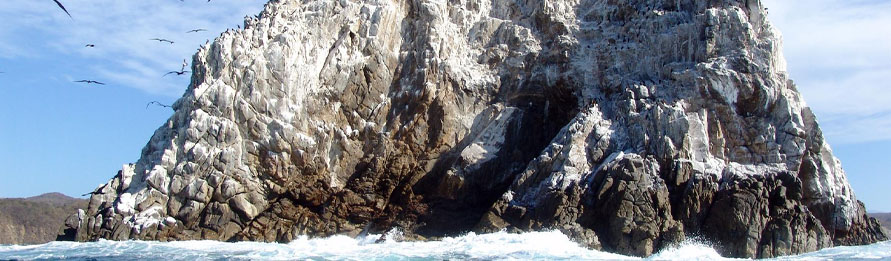 Relax & Recharge With an All Inclusive Mazatlan Beach Break