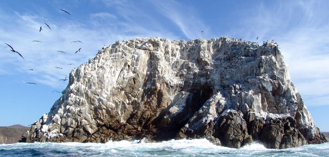 Relax & Recharge With an All Inclusive Mazatlan Beach Break