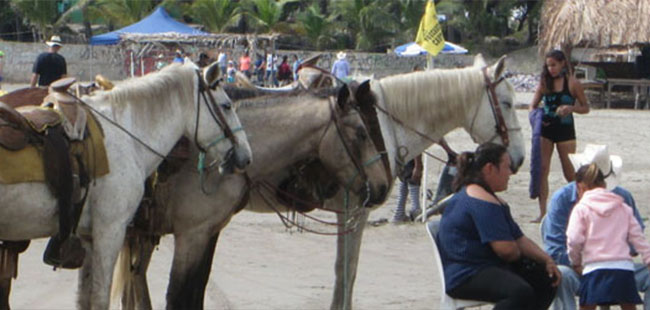Horseback Riding at Stone Island Mazatlan