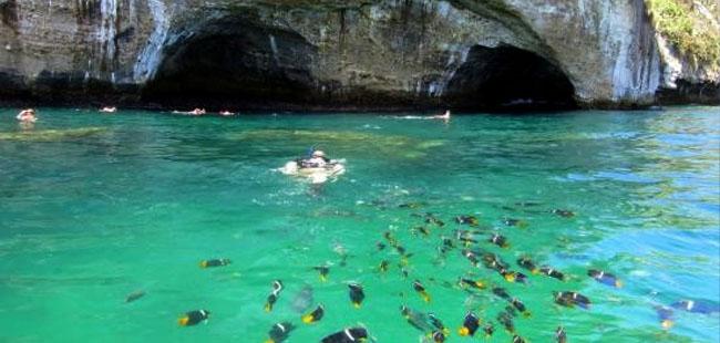 Half Day Los Arcos Sailing Snorkel