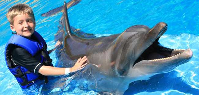 Royal Dolphin Swim + Aquaventuras Water Park