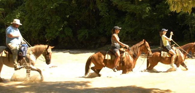 ATV, Canopy & Horses