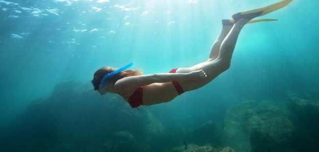 Marietas Islands Snorkeling & Marine Birds Eco Tour