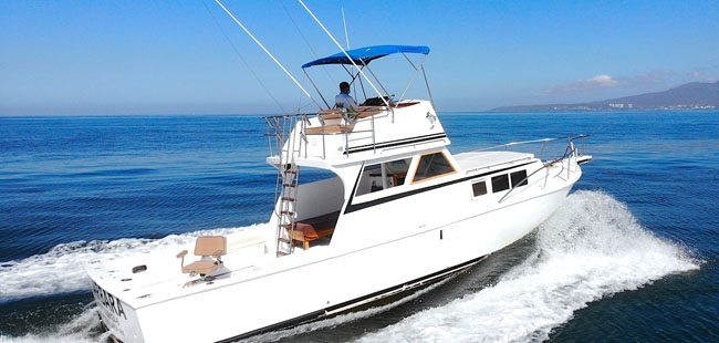 36' Custom Sportfishing Charters