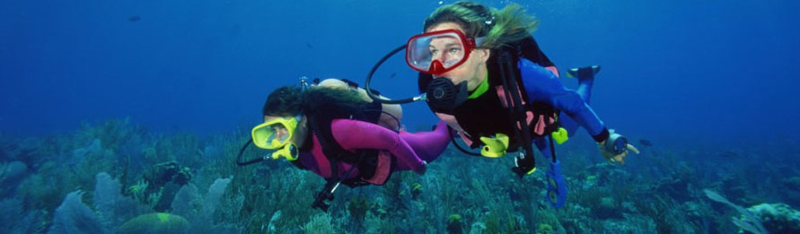 Snorkel & Dive the Coral Reefs in Puerto Morelos & Playa Del Carmen