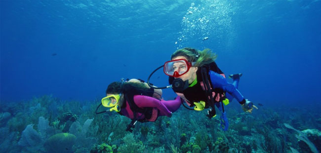 Snorkel & Dive the Coral Reefs in Puerto Morelos & Playa Del Carmen