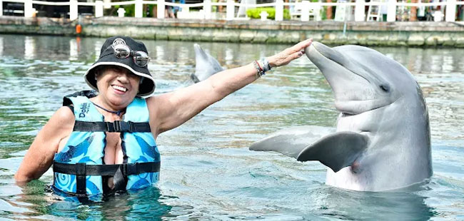 Puerto Aventuras Dolphin Encounter