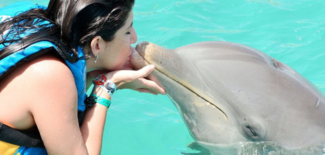 Isla Mujeres Dolphin Encounter