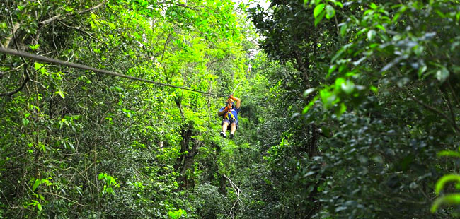 Selvatica Extreme Canopy Tour