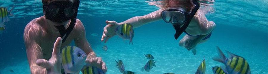 Baja Private Luxury 100’ Double-deck Catamaran Charter 2