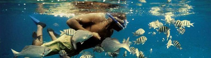 Baja Private Luxury 100’ Double-deck Catamaran Charter 4