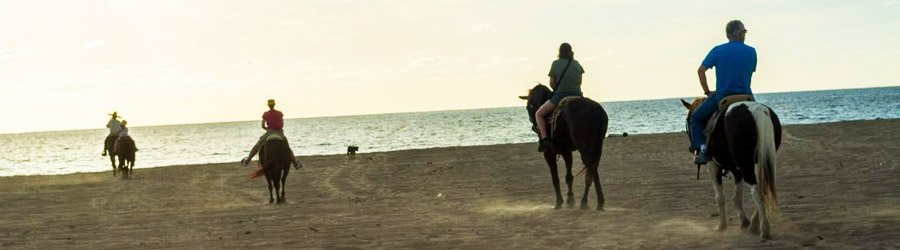 Cabo ATV or UTV + Migriño Beach Horseback Ride 4