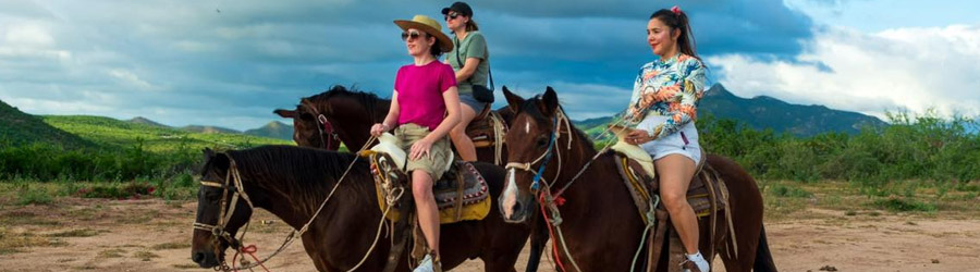 Cabo ATV or UTV + Migriño Beach Horseback Ride 8