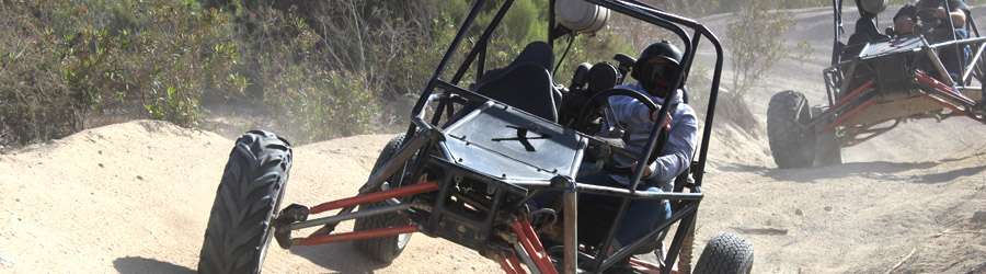 Baja Buggy Off-Road & Beach Tour 7