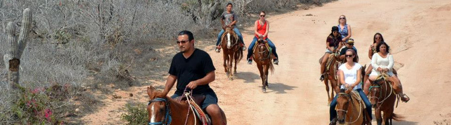 Migrino Beach Horseback Ride Cabo 1