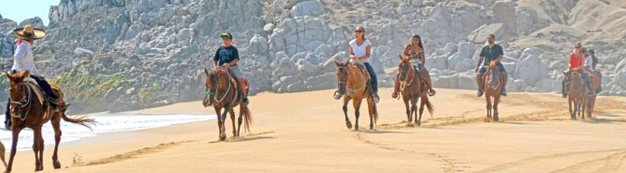 Migrino Beach Horseback Ride Cabo 2