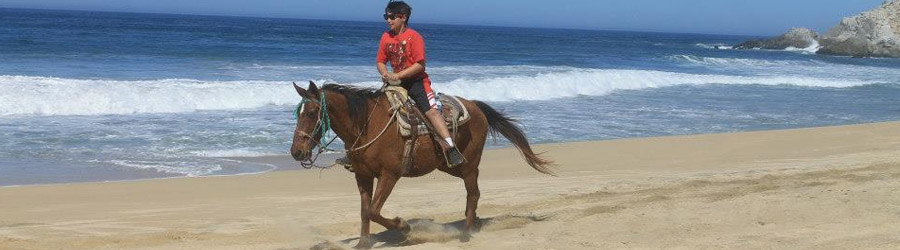 Migrino Beach Horseback Ride Cabo 3