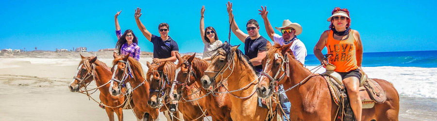 Migrino Beach Horseback Ride Cabo 4