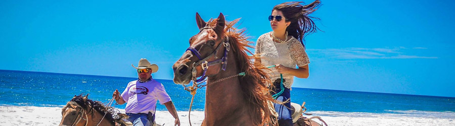 Migrino Beach Horseback Ride Cabo 5