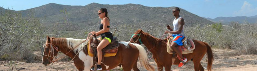 Migrino Beach Horseback Ride Cabo 6
