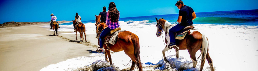 Migrino Beach Horseback Ride Cabo 7