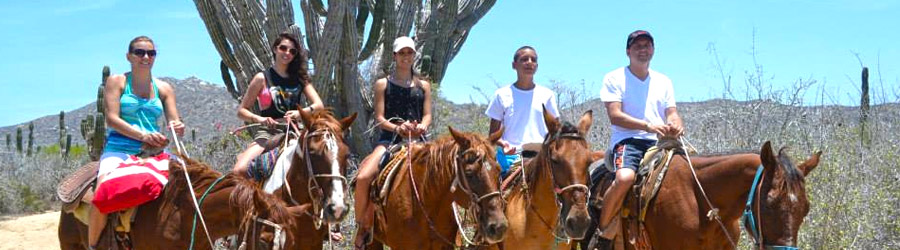 Migrino Beach Horseback Ride Cabo 8