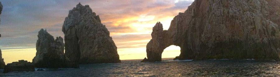 Jungle Cruise – The Original Cabo Booze Cruise 8