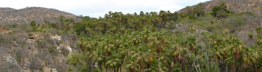 La Candelaria ATV Adventure 7