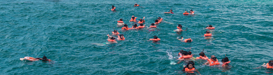 Snorkel Cabo Escape & Catamarán en Bahía Chileno 3