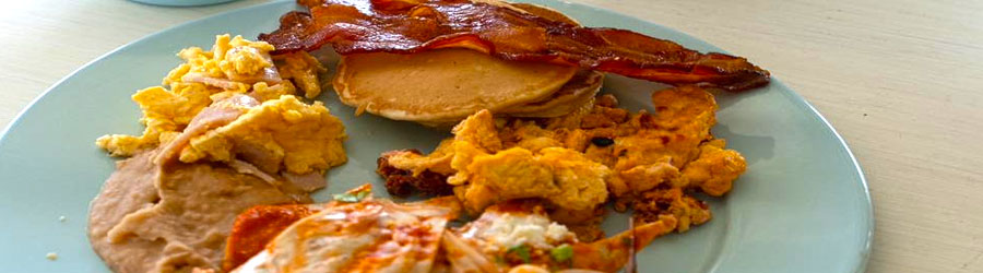 Cabo Escape Breakfast + Whale Watching Catamaran Cruise 2