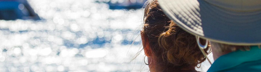 Cabo Escape Breakfast + Whale Watching Catamaran Cruise 3