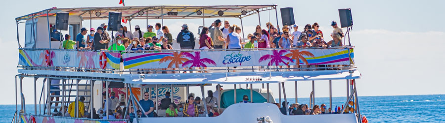 Cabo Escape Breakfast + Whale Watching Catamaran Cruise 5