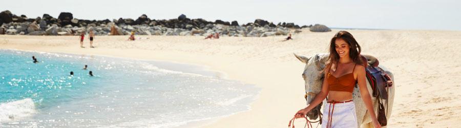 Private Baja Horseback Riding Adventure 6