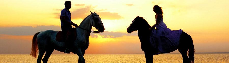 Private Baja Horseback Riding Adventure 8