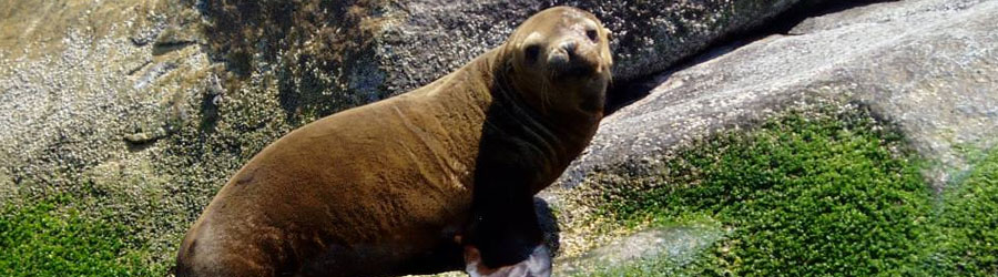 Cabo Pulmo Snorkeling Tour 5