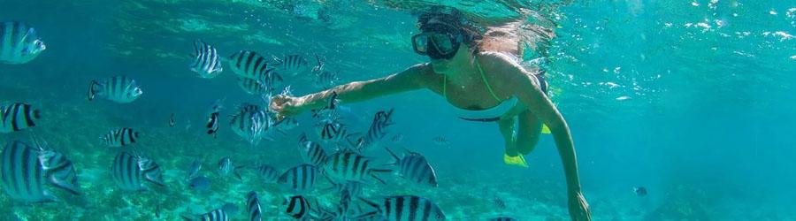 Cabo Pulmo Snorkeling Tour 6