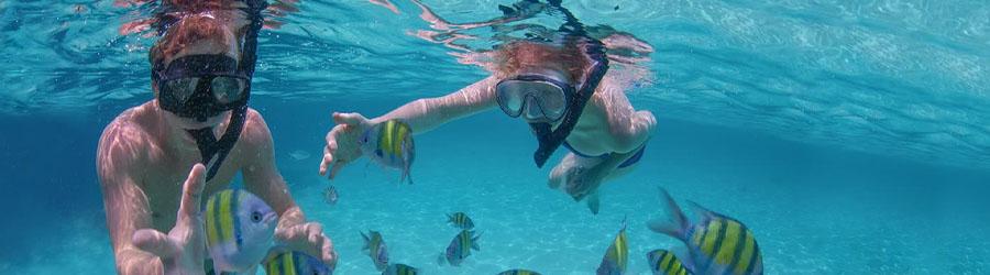 Cabo Snorkel Express 4