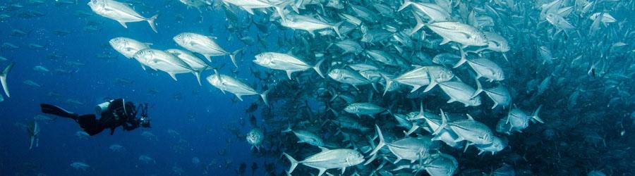 Santa Maria & Chileno Bay 2