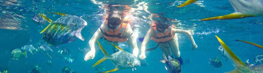 Private 50’ Beneteau Sailboat The Arch, Land’s End, Santa Maria Bay, Chileno Bay & Palmilla Bay 6