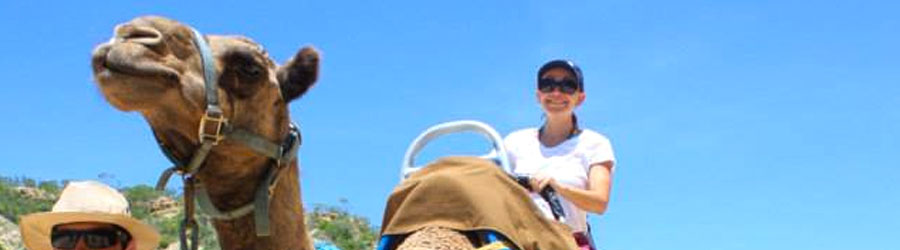 Cabo Camel Ride Adventure 5