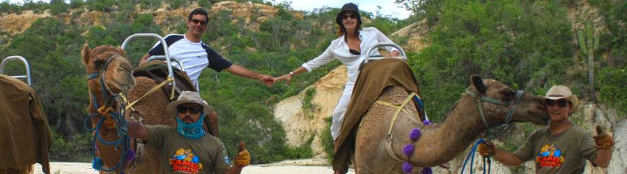 Cabo Camel Ride Adventure 8